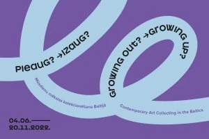 The exhibition "Growing Out? Growing Up? Contemporary Art Collecting in the Baltics"